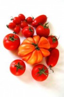 Februari tomaten 